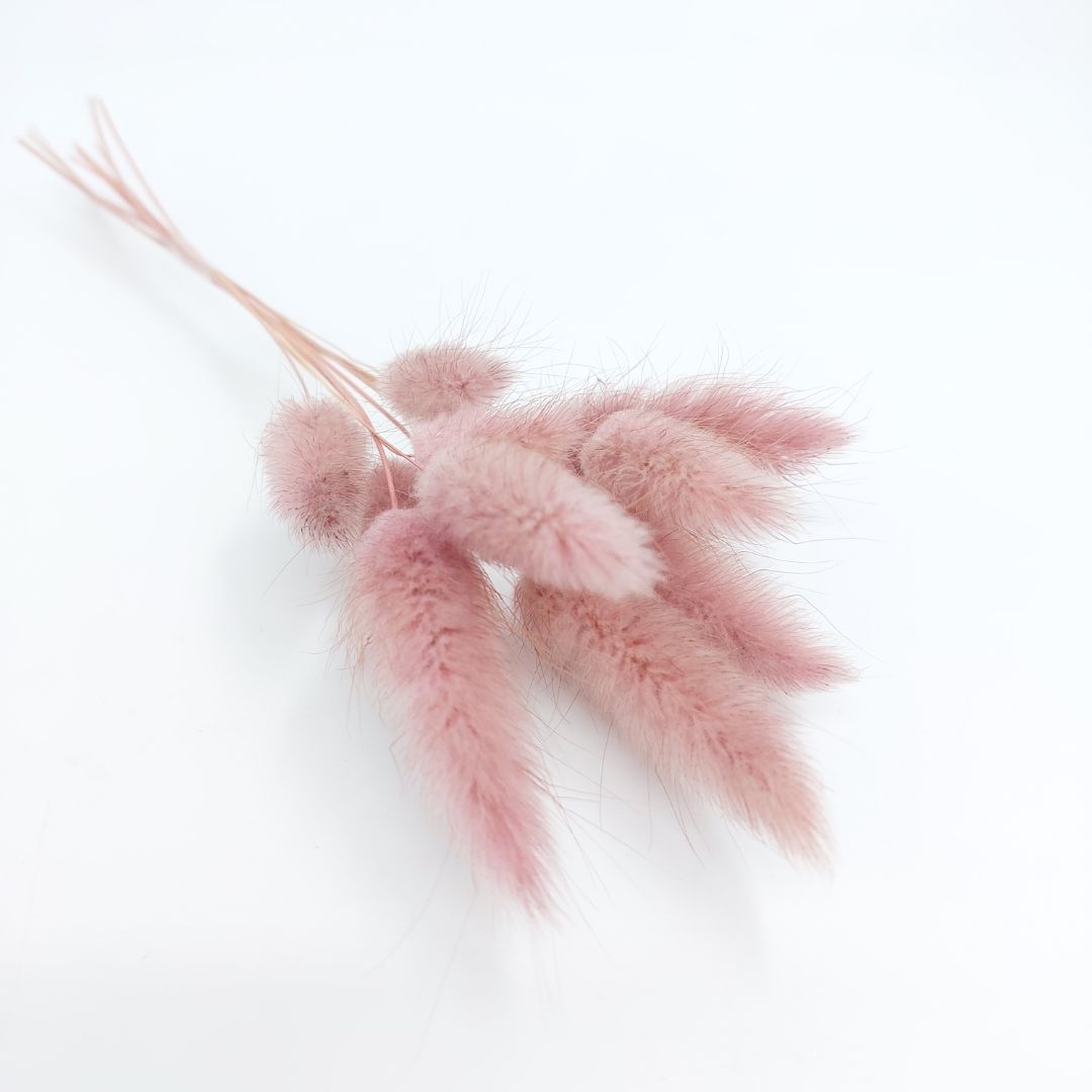 Bunny Tails 10pk Dusky Pink