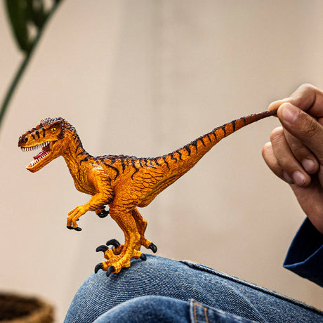 Schleich Velociraptor