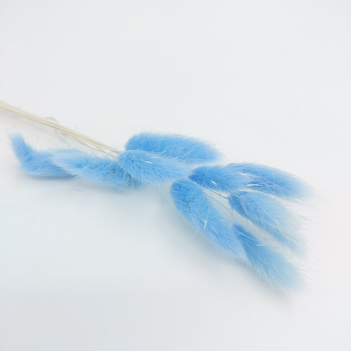Bunny Tails 10pk Blue