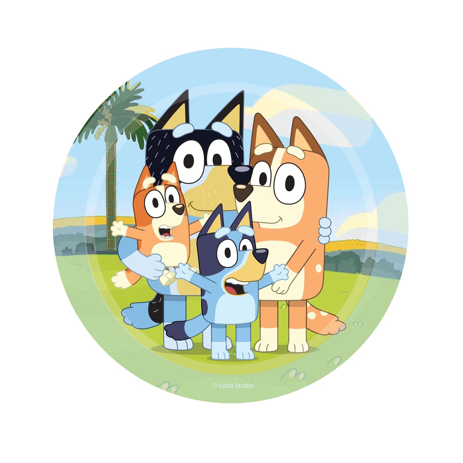 Bluey Lunch Plates 8pk