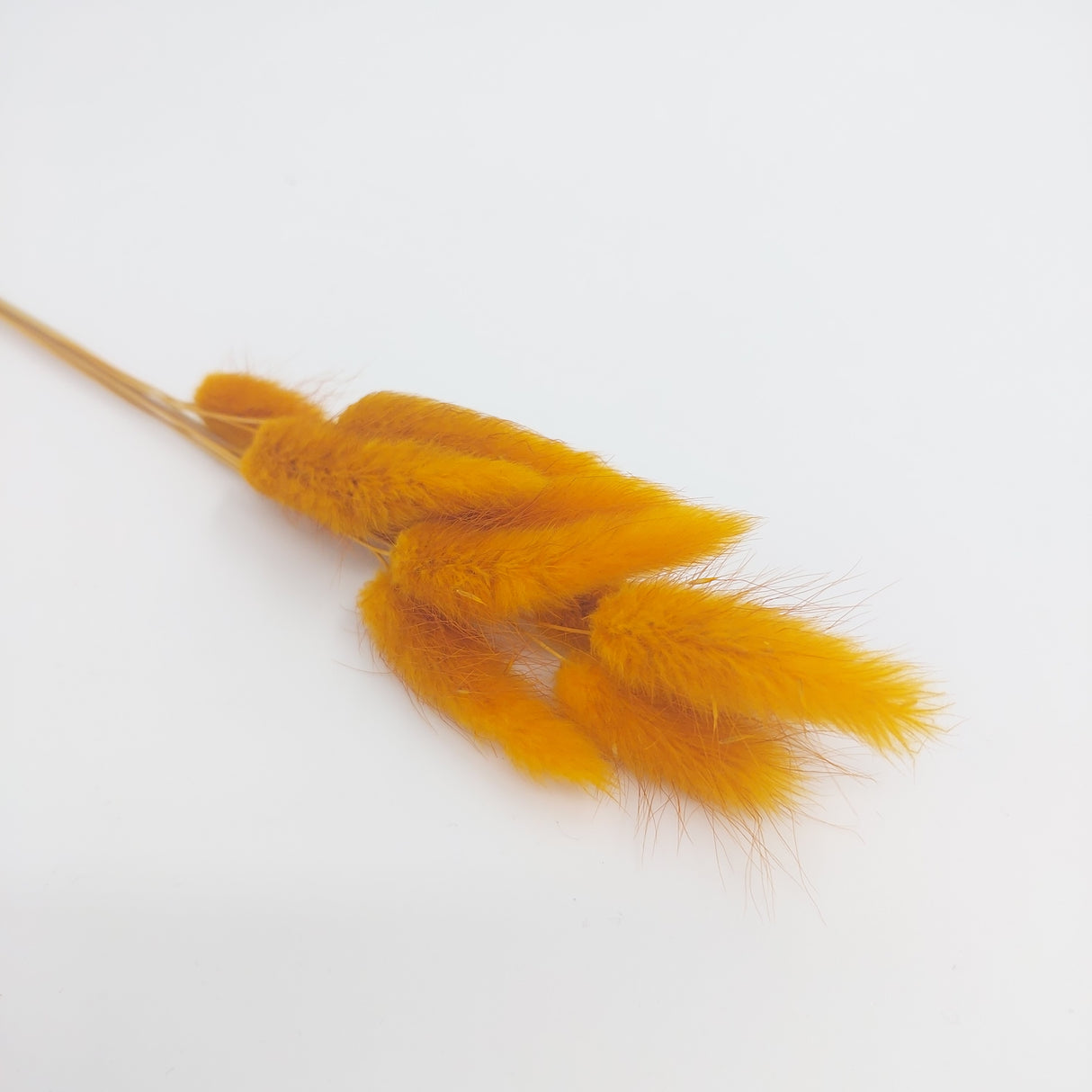 Bunny Tails 10pk Bronze