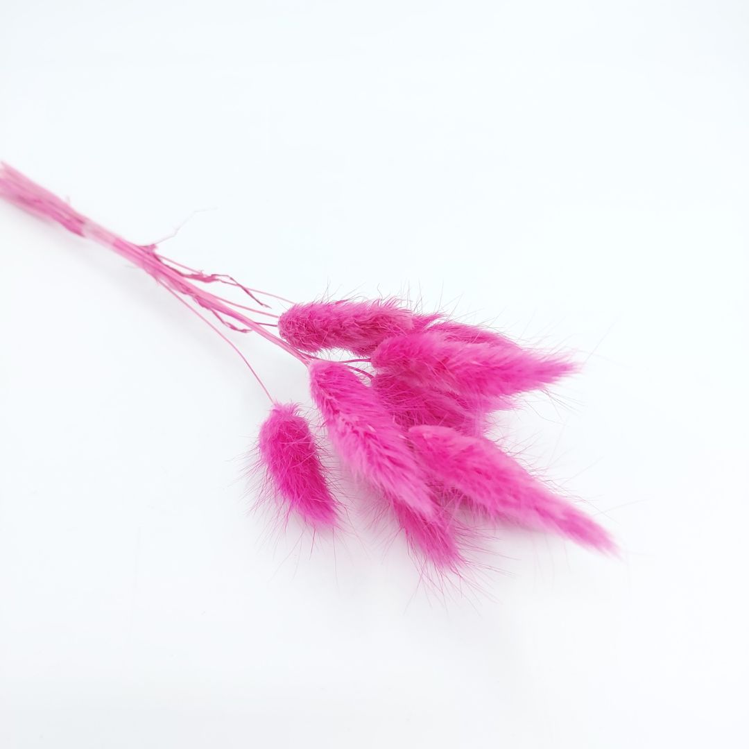 Bunny Tails 10pk Hot Pink