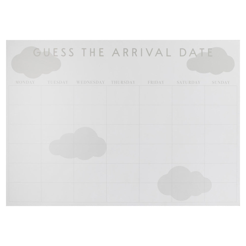 Dream Baby Guess the Arrival Date Baby Shower Game