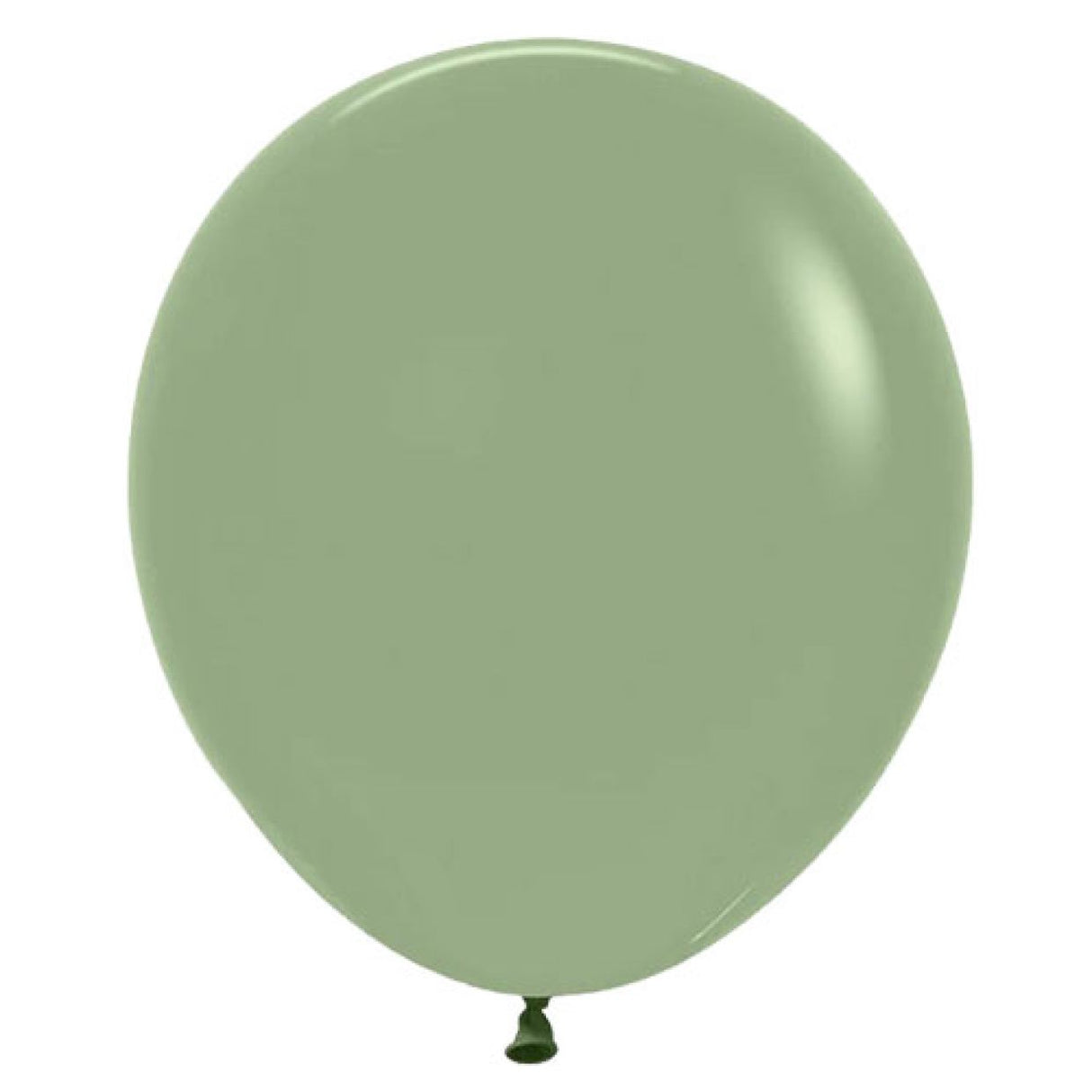 Eucalyptus 45cm Balloon