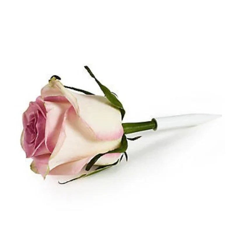 Flower Pics Medium 12pk