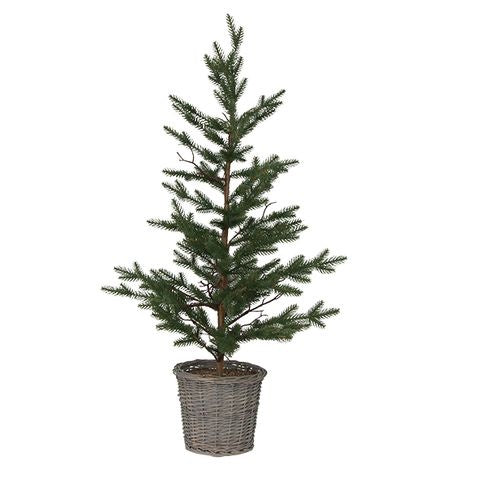 French Country Pine Tree in Rattan Basket Medium