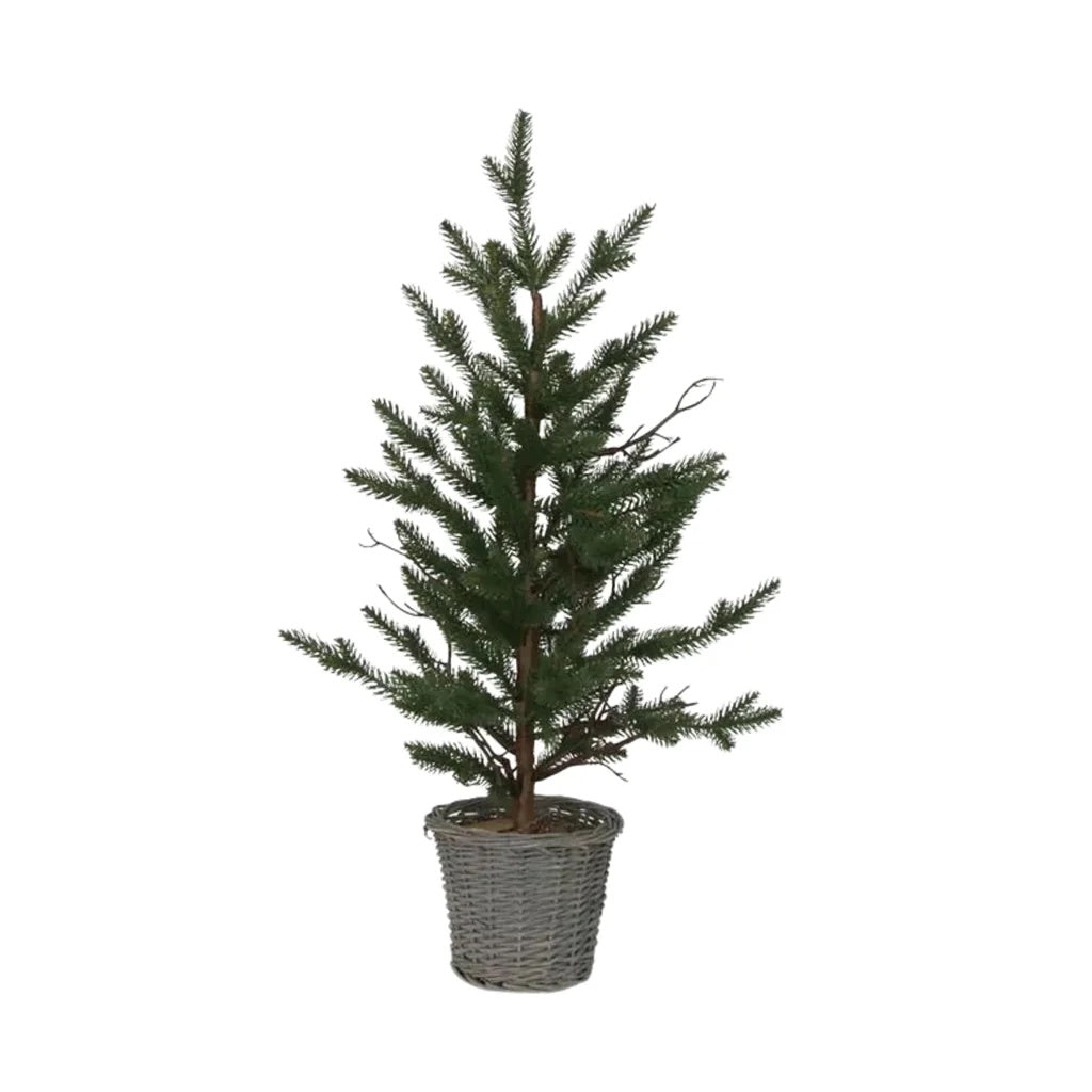French Country Pine Tree in Rattan Basket Small
