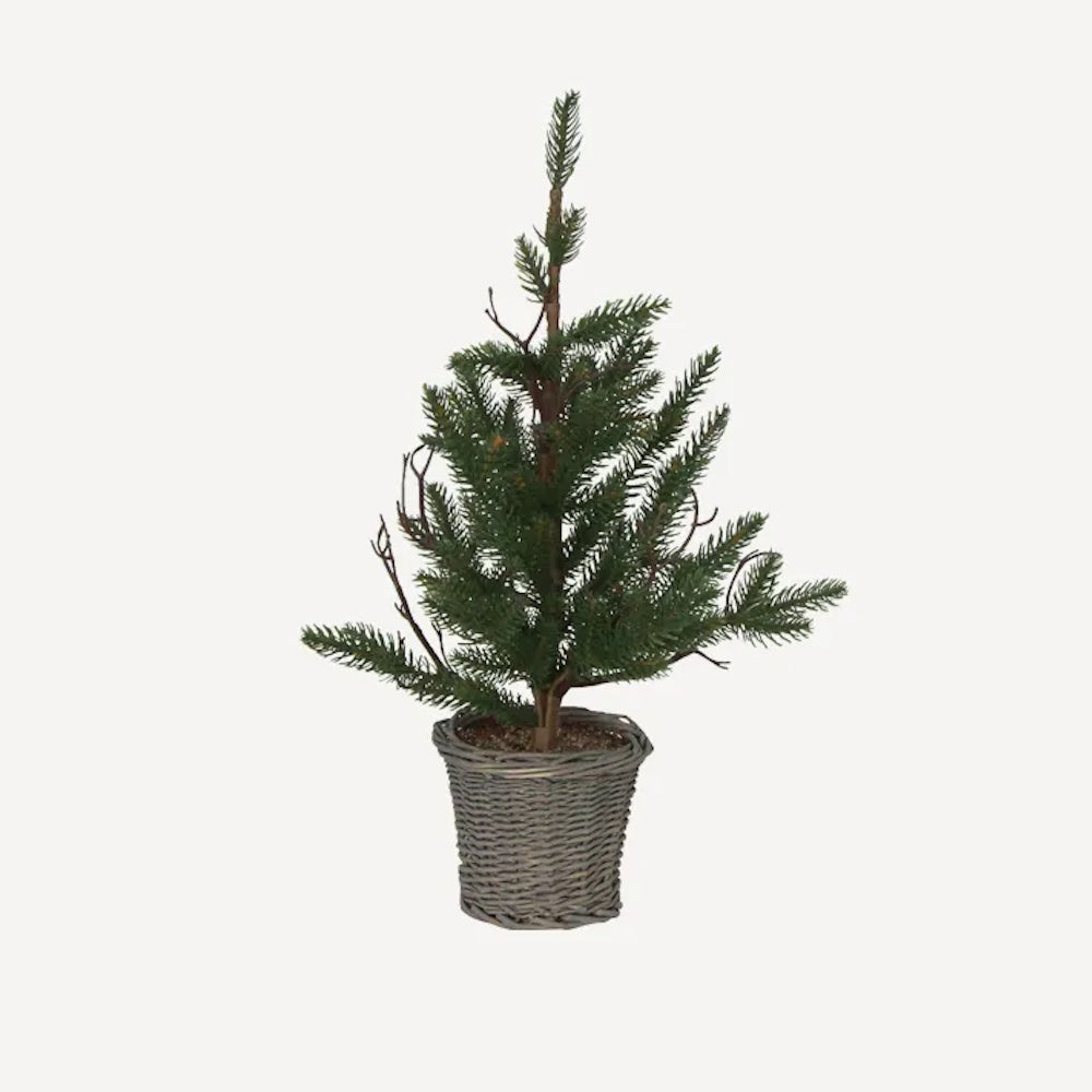 French Country Pine Tree in Rattan Basket X-Small