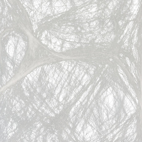 Giant Stretchable Spider Web