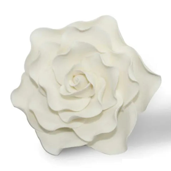 Gumpaste Damask Rose Large - White