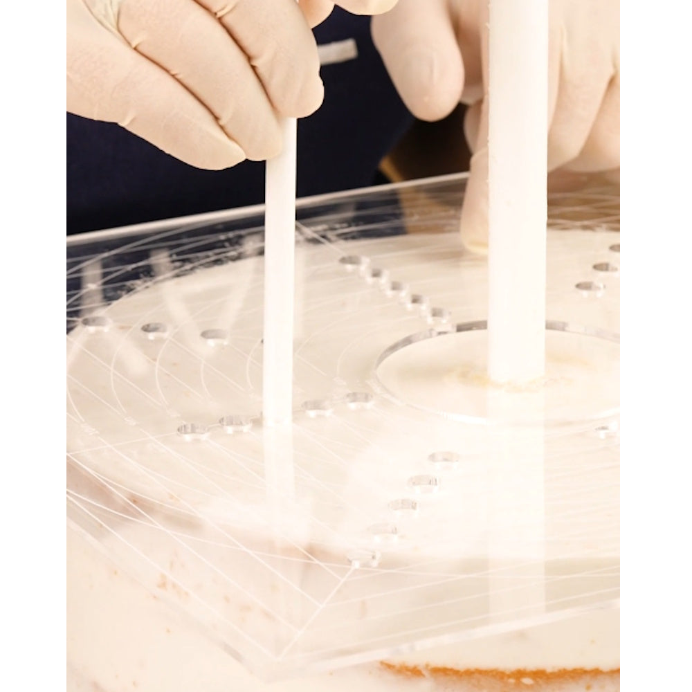 LOYAL Precision Plate