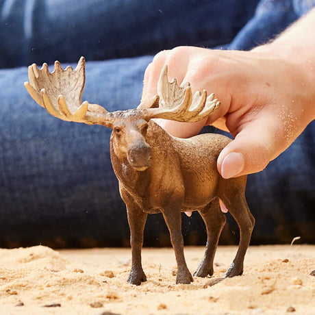 Schleich Moose Bull