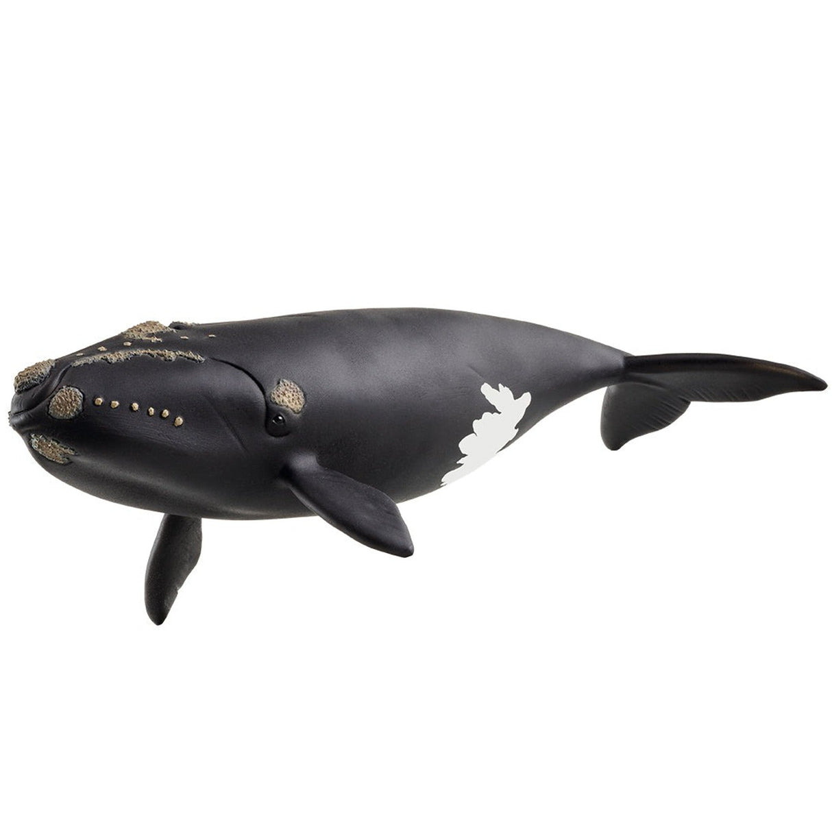 Schleich North Atlantic Right Whale