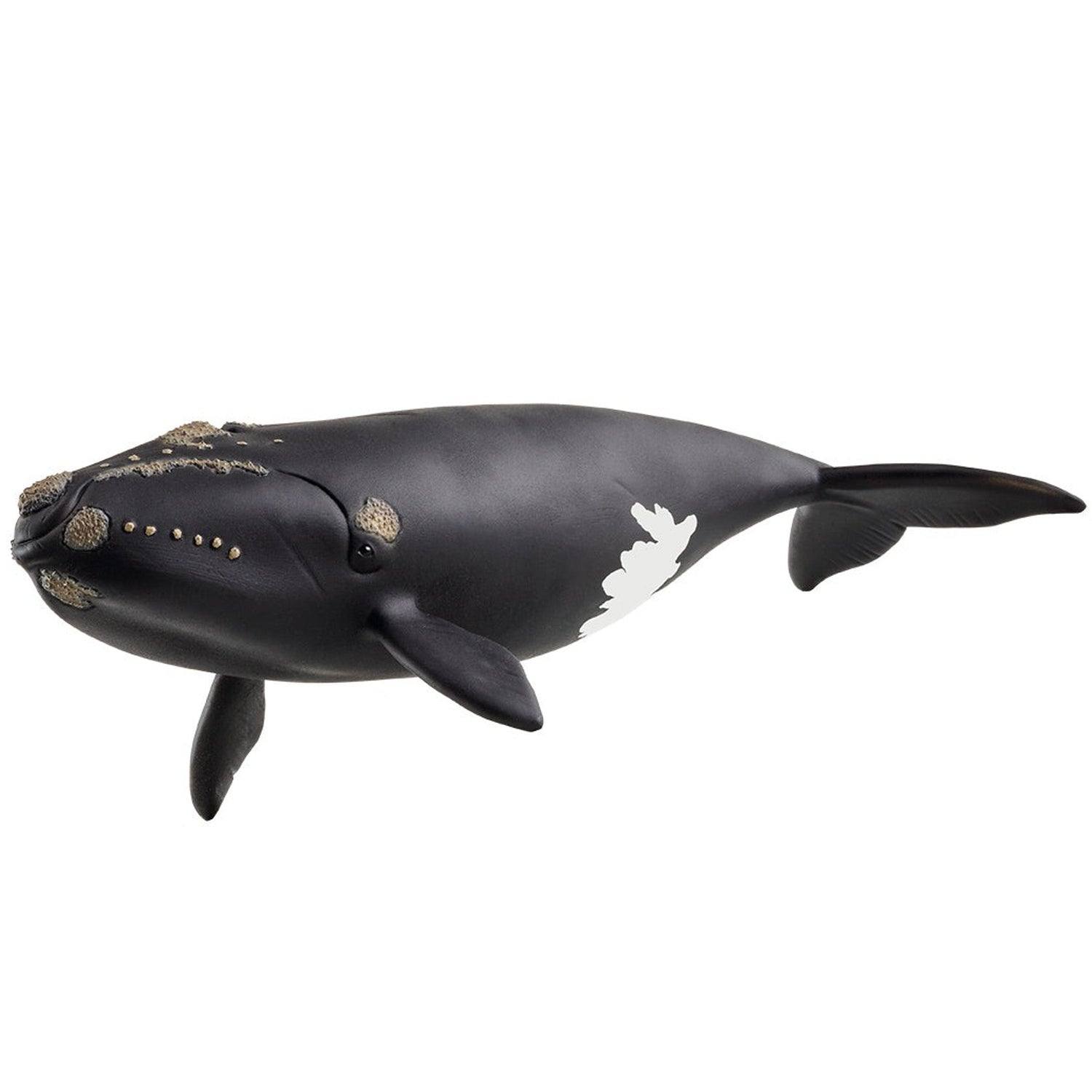 Schleich North Atlantic Right Whale