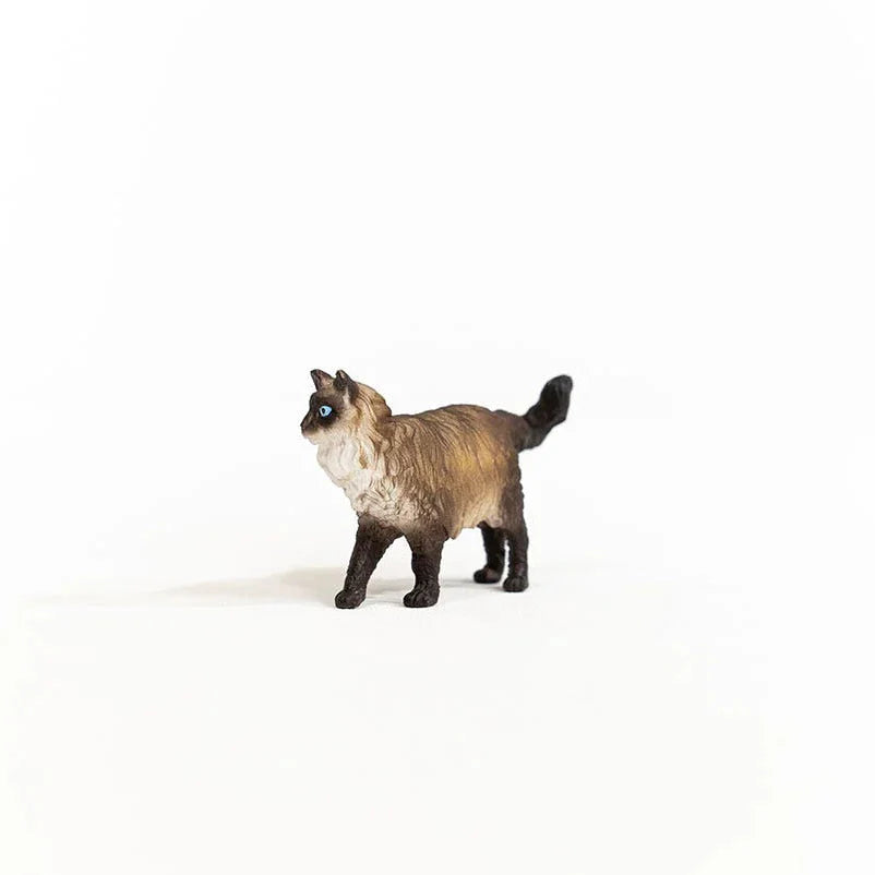 Schleich Ragdoll Cat