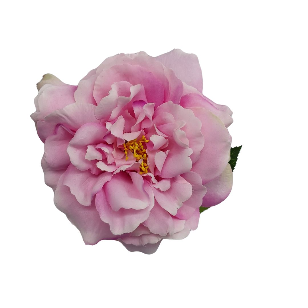 Single Artificial Large Cabbage Rose Flower