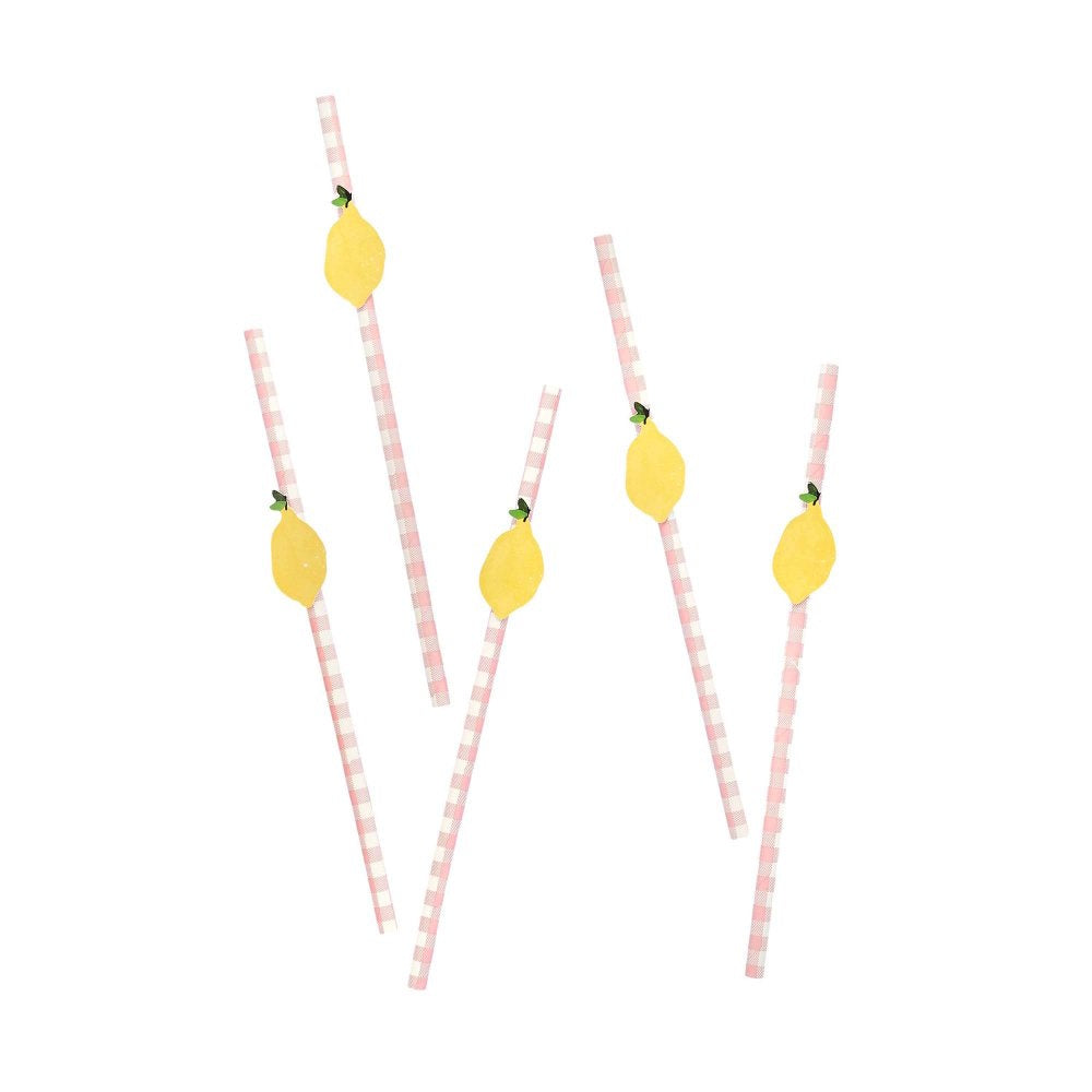 Summer Picnic Lemon & Gingham Paper Straws 20pk