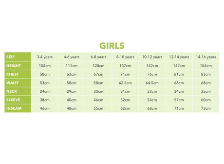 Pretty Butterfly Costume 4-6yrs