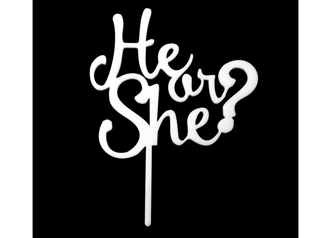 White Acrylic Cake Topper - He or She