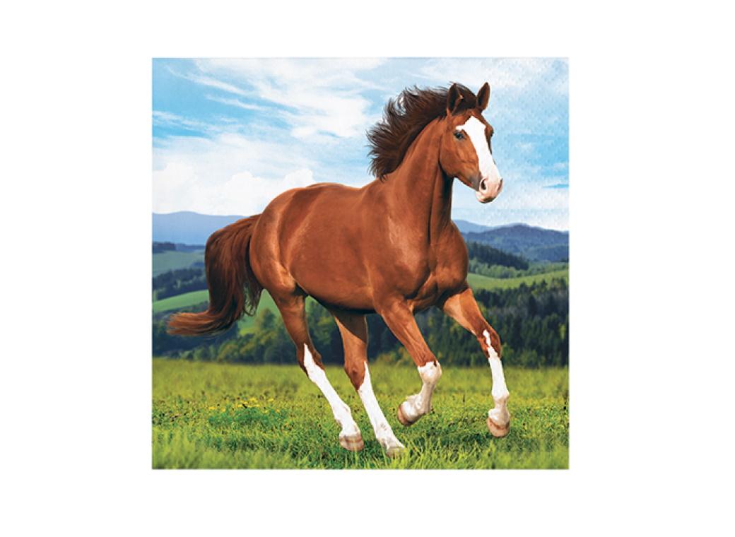 Horse & Pony Beverage Napkins 16pk