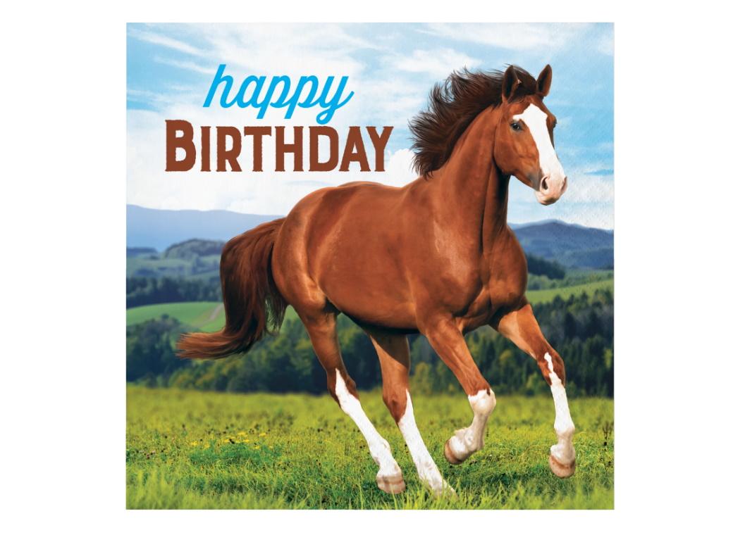 Horse & Pony Happy Birthday Lunch Napkins 16pk
