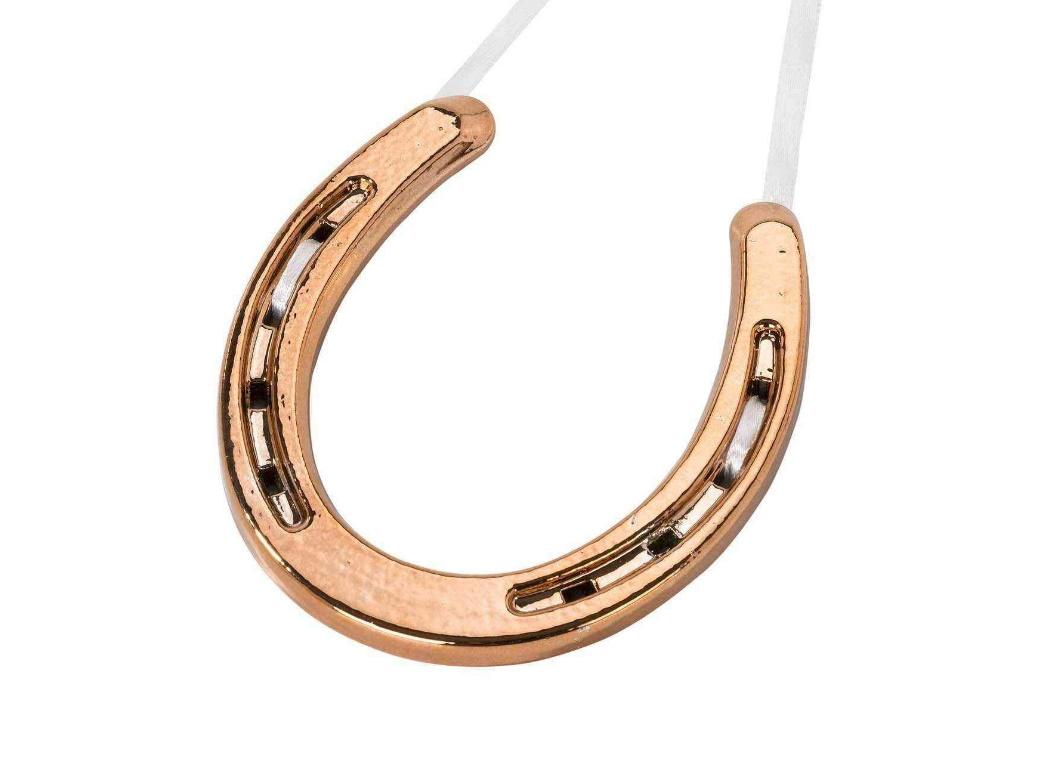 Modern Romance Rose Gold Horseshoe