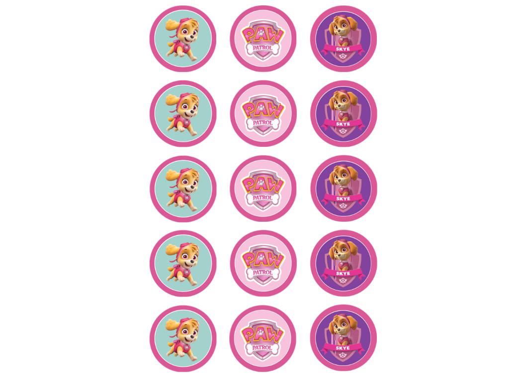 Edible Icing Cupcake Images - Skye Paw Patrol