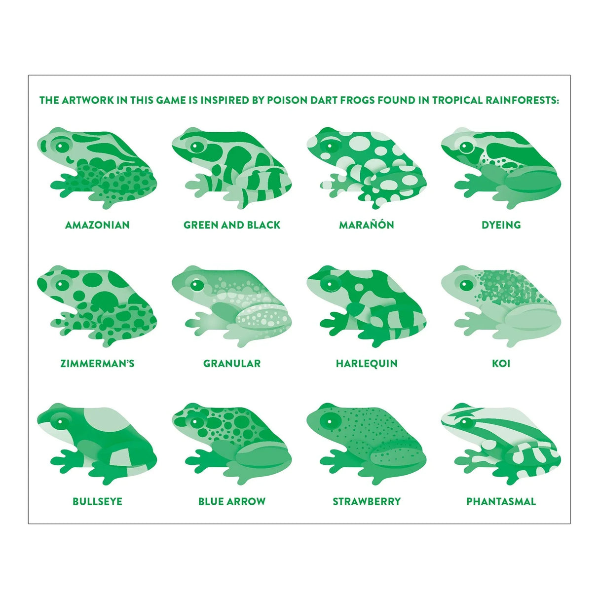 Tropical Frogs Shaped Memory Match