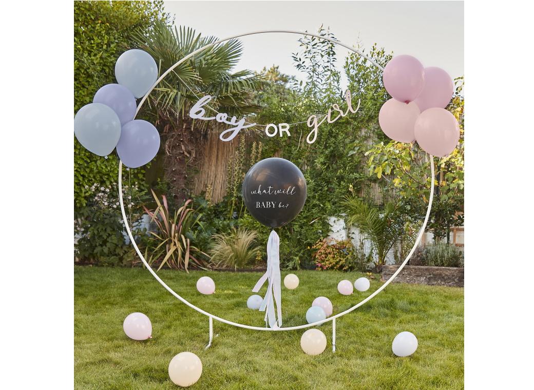 What Will Baby Be? Gender Reveal Balloon Kit