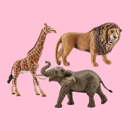 Jungle & Safari