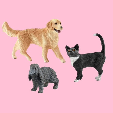Pets
