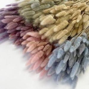 Dried Flowers