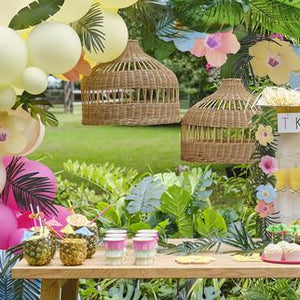 Tropical Fiesta