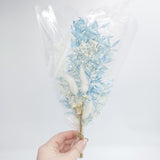 Dried Mixed Florals - Light Blues