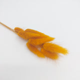 Bunny Tails 10pk Bronze