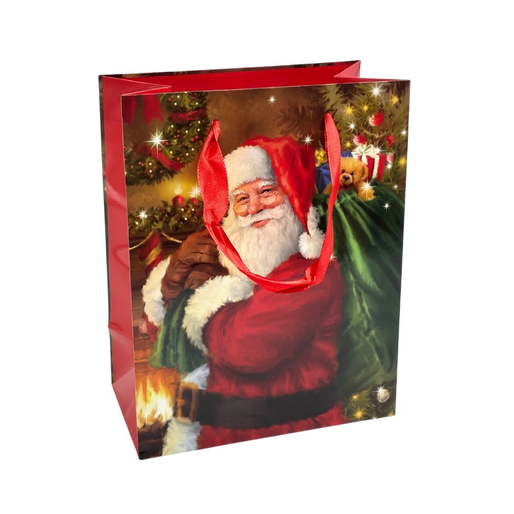 Medium Gift Bag - Santa