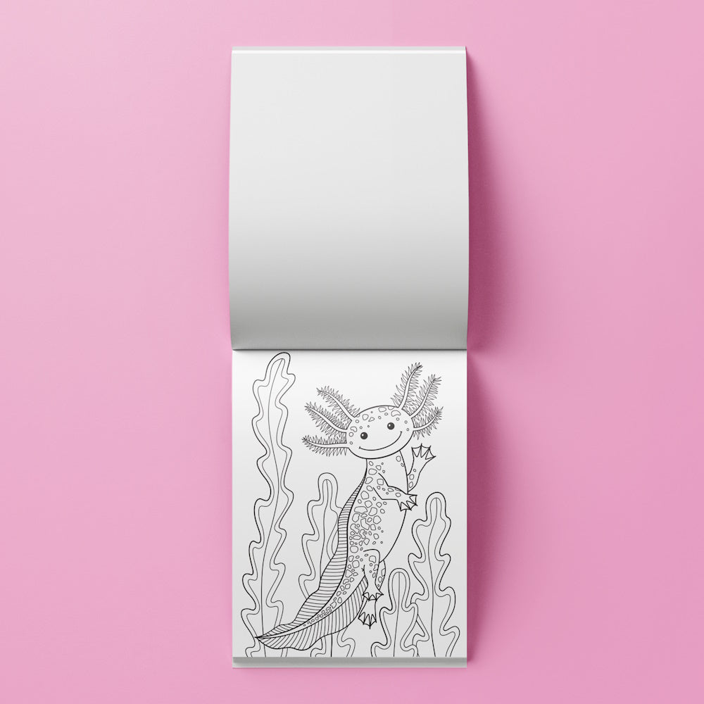 Kaleidoscope Colouring Kit - Axolotls