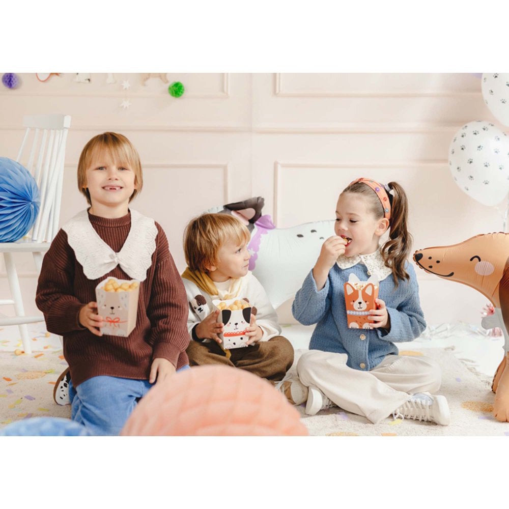 Dog Party Popcorn Boxes 6pk