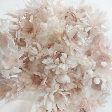 Dried Hill Flowers - Assorted
