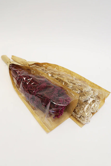 Dried Rice flower Bunch - Pink