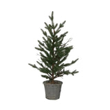 French Country Pine Tree in Rattan Basket Small