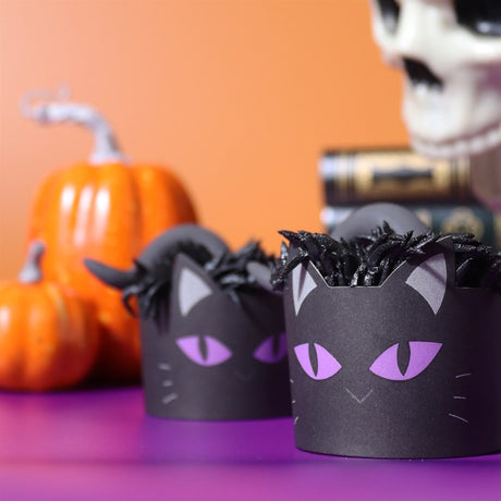PME Baking Cups with Cases 12pk - Black Cat