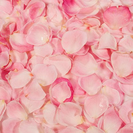 PME Deliceate Rose Natural Flavouring