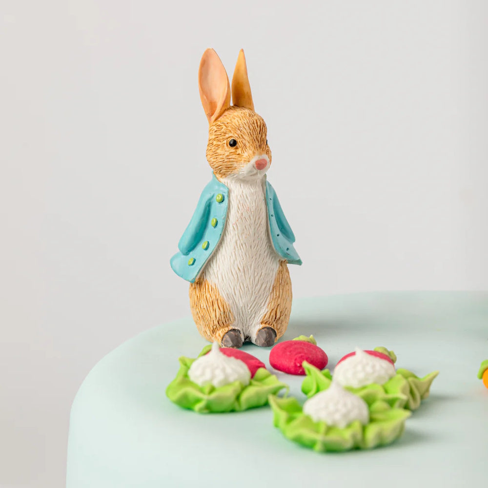 Peter Rabbit Resin Cake Topper