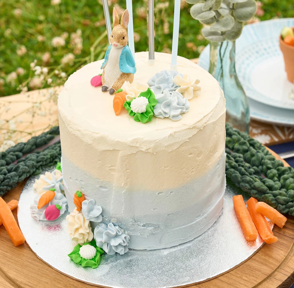 Peter Rabbit Resin Cake Topper