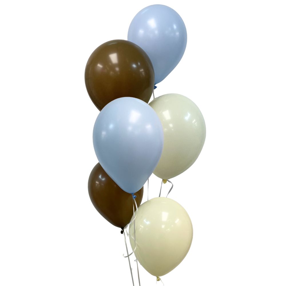 Plain Balloon Mix - Teddy’s sunny day 6pk