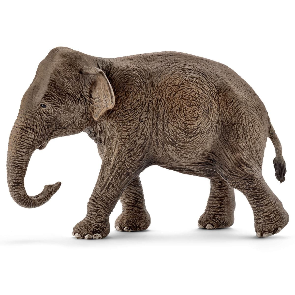 Schleich Asian Elephant Female