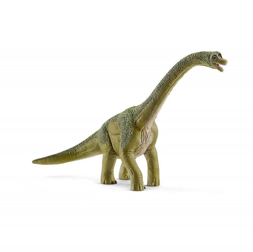 Schleich Brachiosaurus (Green)