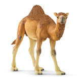 Schleich Dromedary Camel
