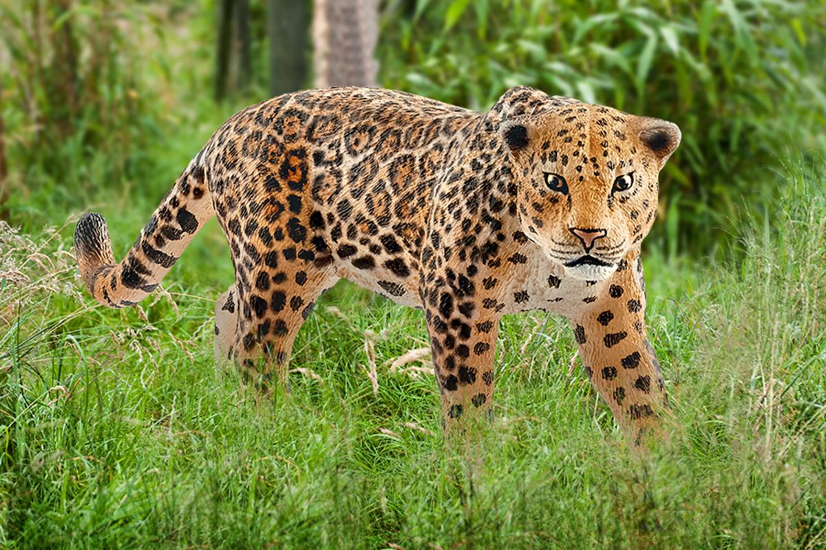 Schleich Jaguar